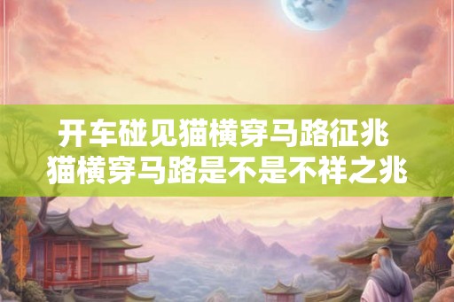 开车碰见猫横穿马路征兆 猫横穿马路是不是不祥之兆