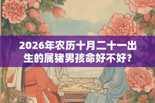 2026年农历十月二十一出生的属猪男孩命好不好？