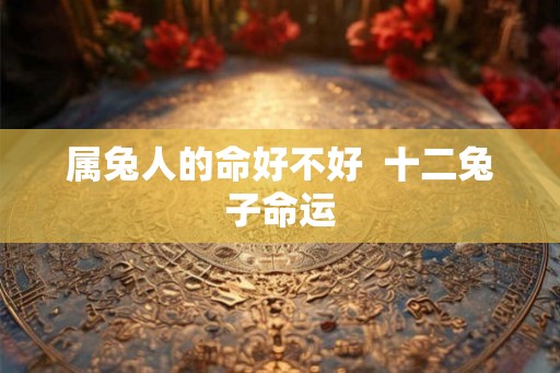 属兔人的命好不好  十二兔子命运