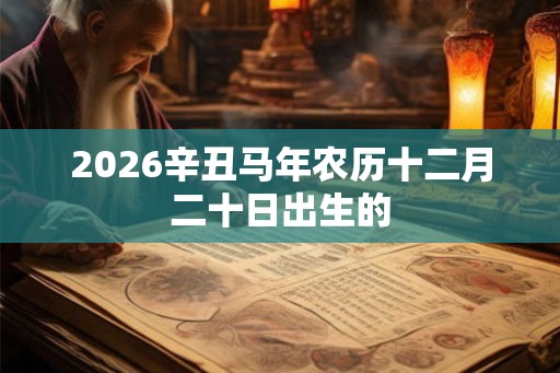 2026辛丑马年农历十二月二十日出生的