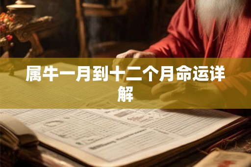 属牛一月到十二个月命运详解