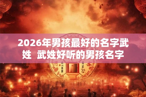 2026年男孩最好的名字武姓  武姓好听的男孩名字