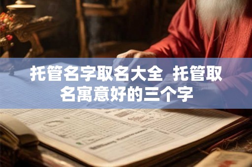 托管名字取名大全  托管取名寓意好的三个字