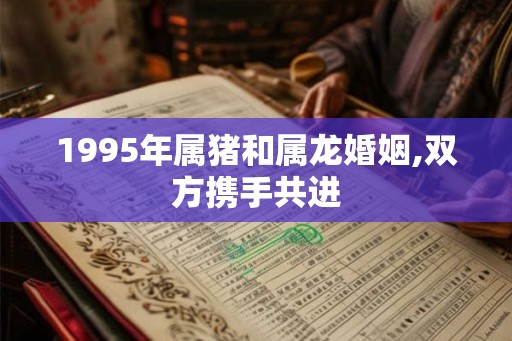 1995年属猪和属龙婚姻,双方携手共进