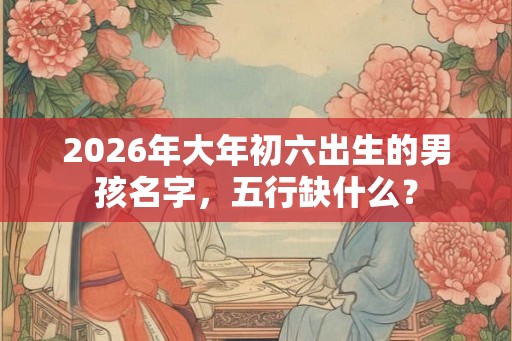 2026年大年初六出生的男孩名字，五行缺什么？
