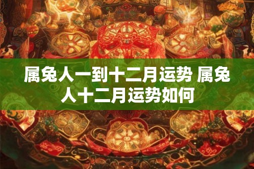 属兔人一到十二月运势 属兔人十二月运势如何