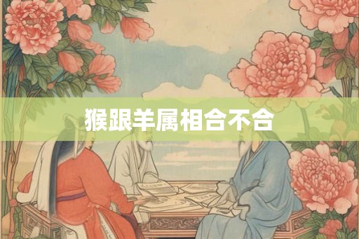 猴跟羊属相合不合