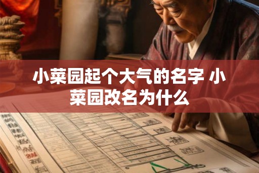 小菜园起个大气的名字 小菜园改名为什么 小菜园起个大气的名字 小菜园改名为什么