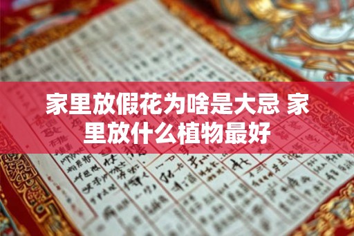 家里放假花为啥是大忌 家里放什么植物最好