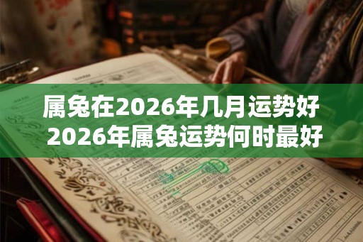 属兔在2026年几月运势好 2026年属兔运势何时最好