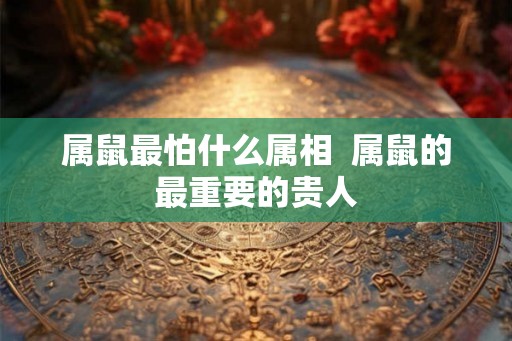属鼠最怕什么属相  属鼠的最重要的贵人