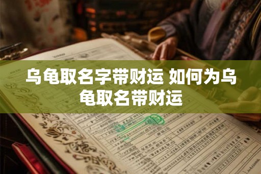 乌龟取名字带财运 如何为乌龟取名带财运