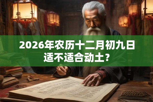 2026年农历十二月初九日适不适合动土？
