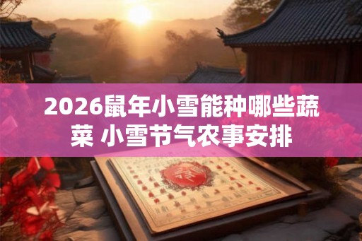 2026鼠年小雪能种哪些蔬菜 小雪节气农事安排 2026鼠年小雪能种哪些蔬菜 小雪节气农事安排