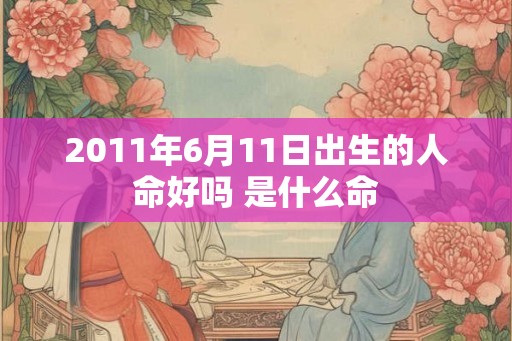 2011年6月11日出生的人命好吗 是什么命