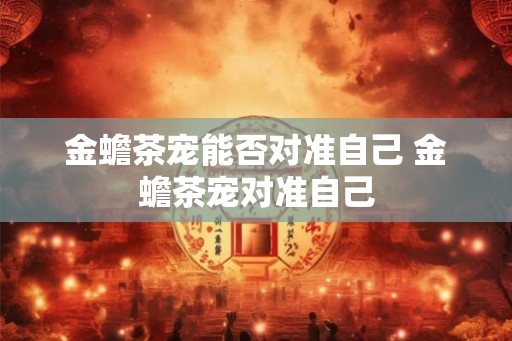 金蟾茶宠能否对准自己 金蟾茶宠对准自己