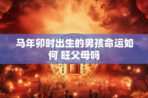 马年卯时出生的男孩命运如何 旺父母吗 马年卯时出生的男孩命运如何 旺父母吗