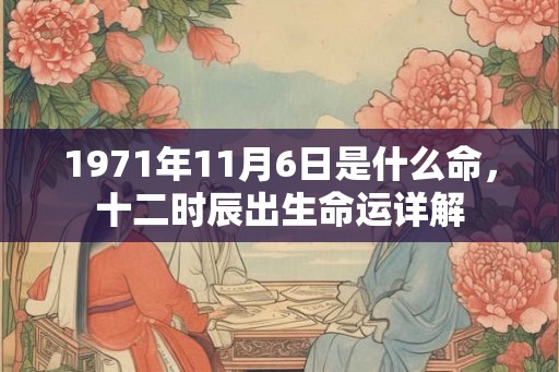 1971年11月6日是什么命，十二时辰出生命运详解