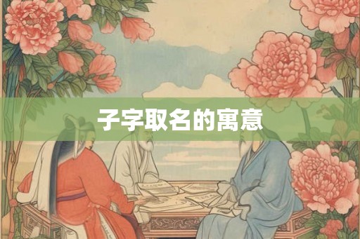 子字取名的寓意