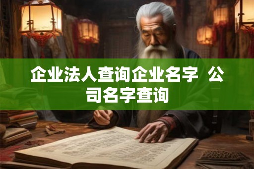企业法人查询企业名字  公司名字查询