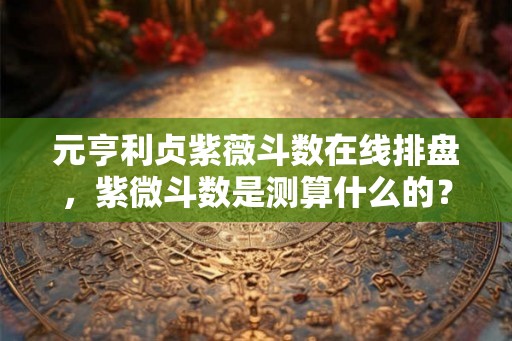 元亨利贞紫薇斗数在线排盘，紫微斗数是测算什么的？