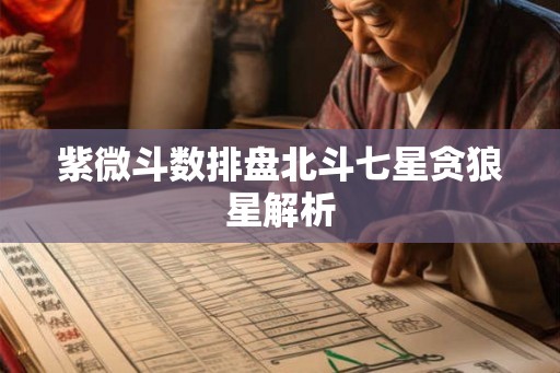 紫微斗数排盘北斗七星贪狼星解析