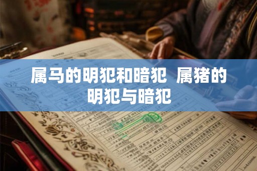 属马的明犯和暗犯  属猪的明犯与暗犯
