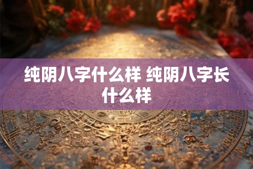 纯阴八字什么样 纯阴八字长什么样 纯阴八字什么样 纯阴八字长什么样