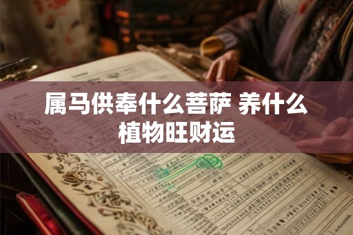 属马供奉什么菩萨 养什么植物旺财运 属马供奉什么菩萨 养什么植物旺财运
