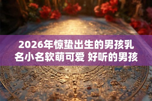2026年惊蛰出生的男孩乳名小名软萌可爱 好听的男孩名字小名英文