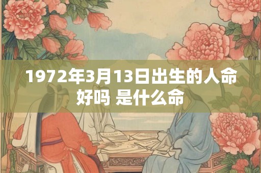 1972年3月13日出生的人命好吗 是什么命