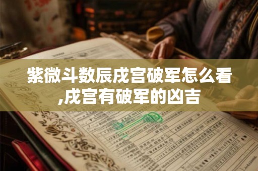 紫微斗数辰戌宫破军怎么看,戌宫有破军的凶吉