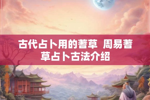 古代占卜用的蓍草  周易蓍草占卜古法介绍