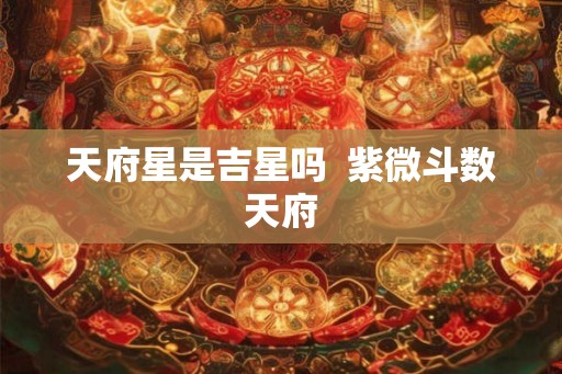 天府星是吉星吗  紫微斗数天府
