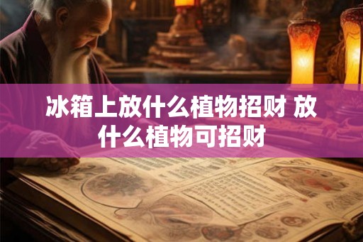 冰箱上放什么植物招财 放什么植物可招财