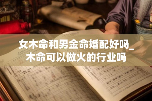 女木命和男金命婚配好吗_木命可以做火的行业吗