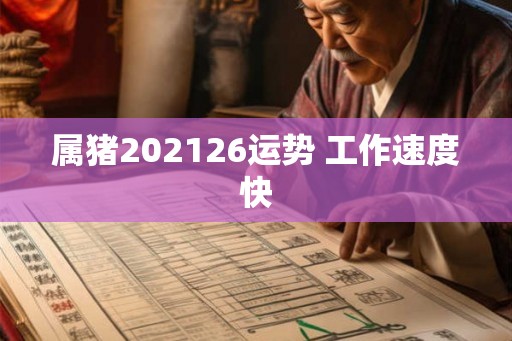 属猪202126运势 工作速度快