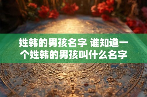 姓韩的男孩名字 谁知道一个姓韩的男孩叫什么名字