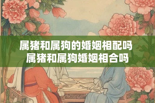 属猪和属狗的婚姻相配吗 属猪和属狗婚姻相合吗 属猪和属狗的婚姻相配吗 属猪和属狗婚姻相合吗