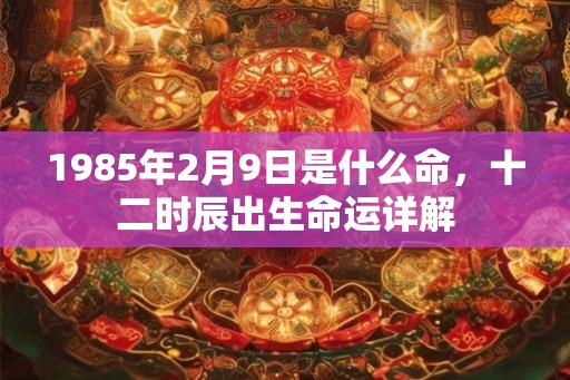 1985年2月9日是什么命，十二时辰出生命运详解
