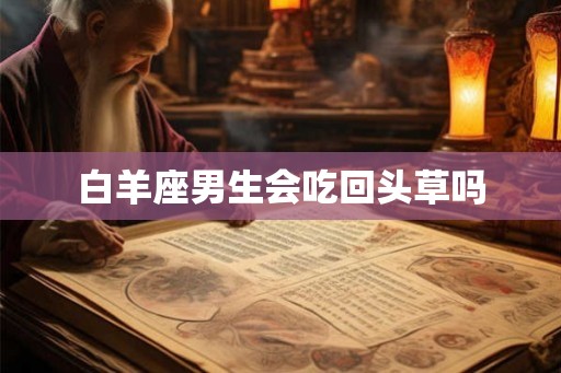 白羊座男生会吃回头草吗