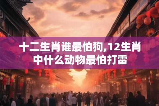 十二生肖谁最怕狗,12生肖中什么动物最怕打雷