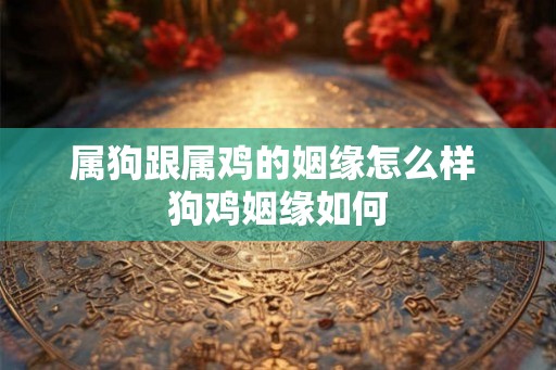 属狗跟属鸡的姻缘怎么样 狗鸡姻缘如何