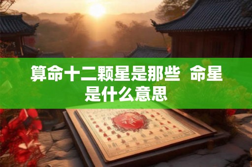 算命十二颗星是那些  命星是什么意思