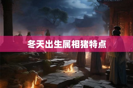 冬天出生属相猪特点