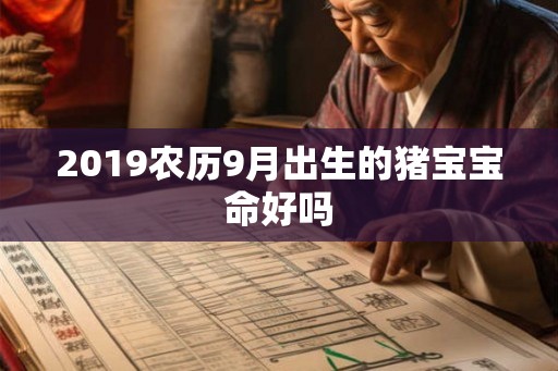 2019农历9月出生的猪宝宝命好吗