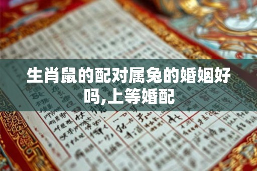 生肖鼠的配对属兔的婚姻好吗,上等婚配
