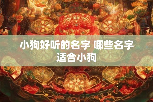 小狗好听的名字 哪些名字适合小狗