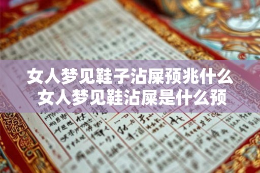 女人梦见鞋子沾屎预兆什么 女人梦见鞋沾屎是什么预兆