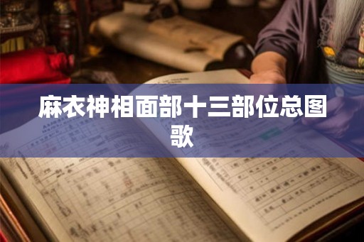 麻衣神相面部十三部位总图歌